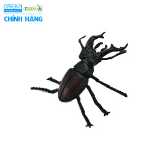 Mô hình động vật: Bọ Vừng