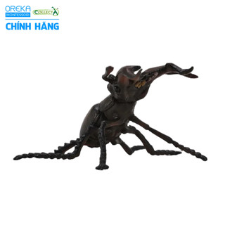Mô hình động vật: Bọ Vừng