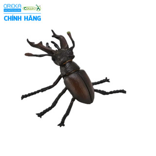 Mô hình động vật: Bọ Vừng
