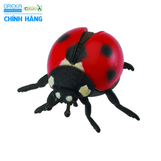 Mô hình động vật: Bọ Rùa