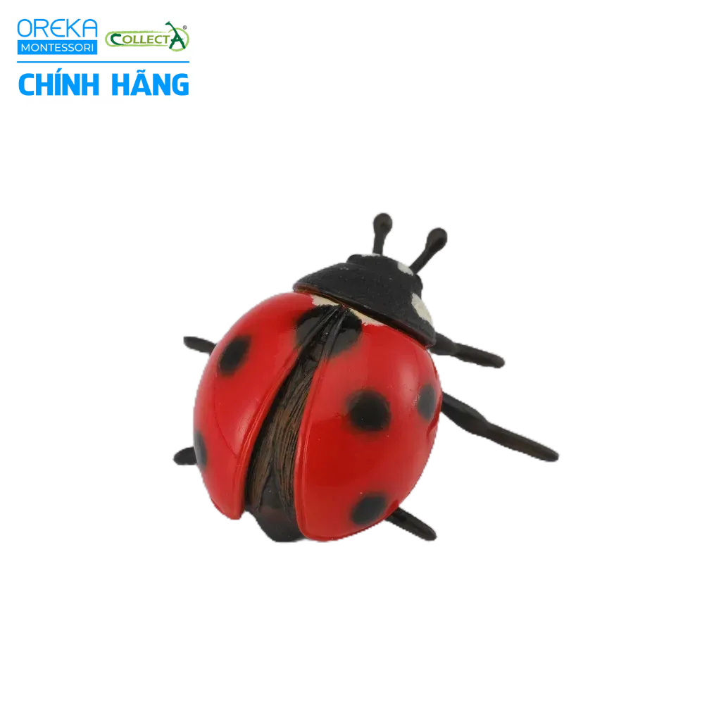 Mô hình động vật: Bọ Rùa