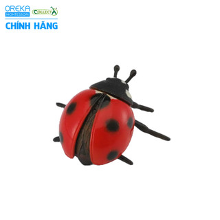 Mô hình động vật: Bọ Rùa
