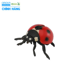 Mô hình động vật: Bọ Rùa