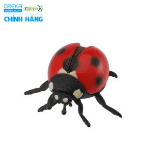 Mô hình động vật: Bọ Rùa