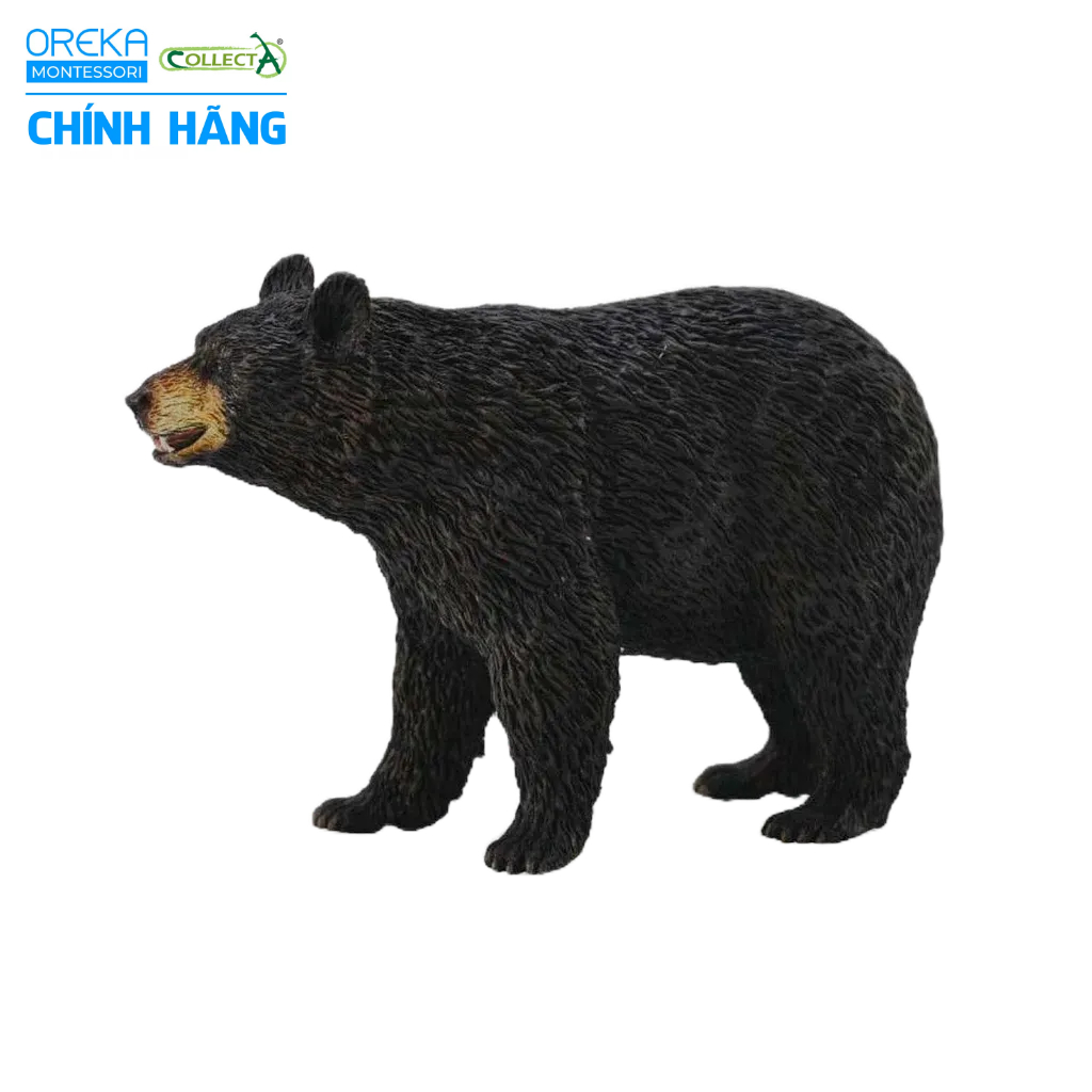 Mô hình động vật: Gấu Đen Bắc Mỹ
