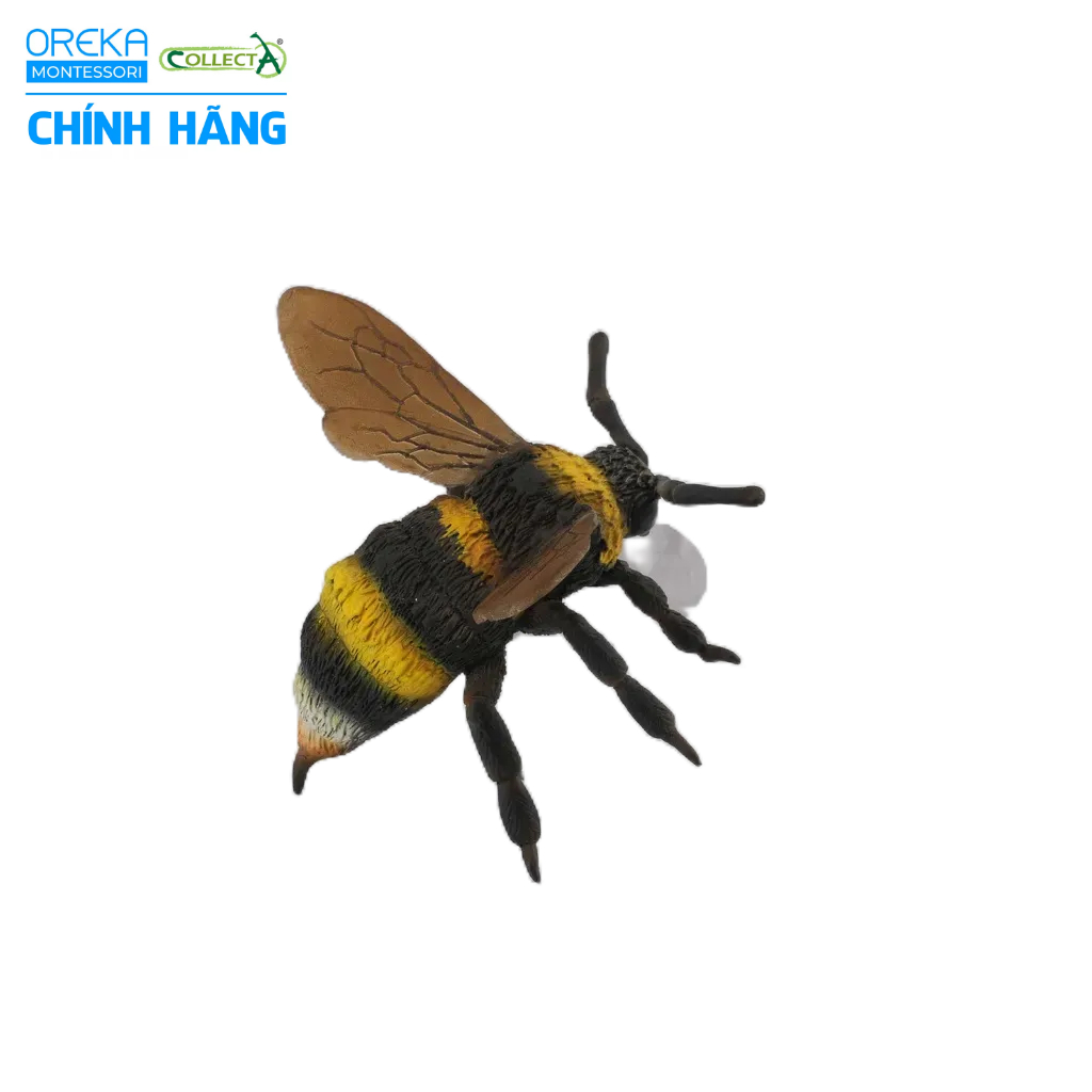 Mô hình động vật: Ong Nghệ
