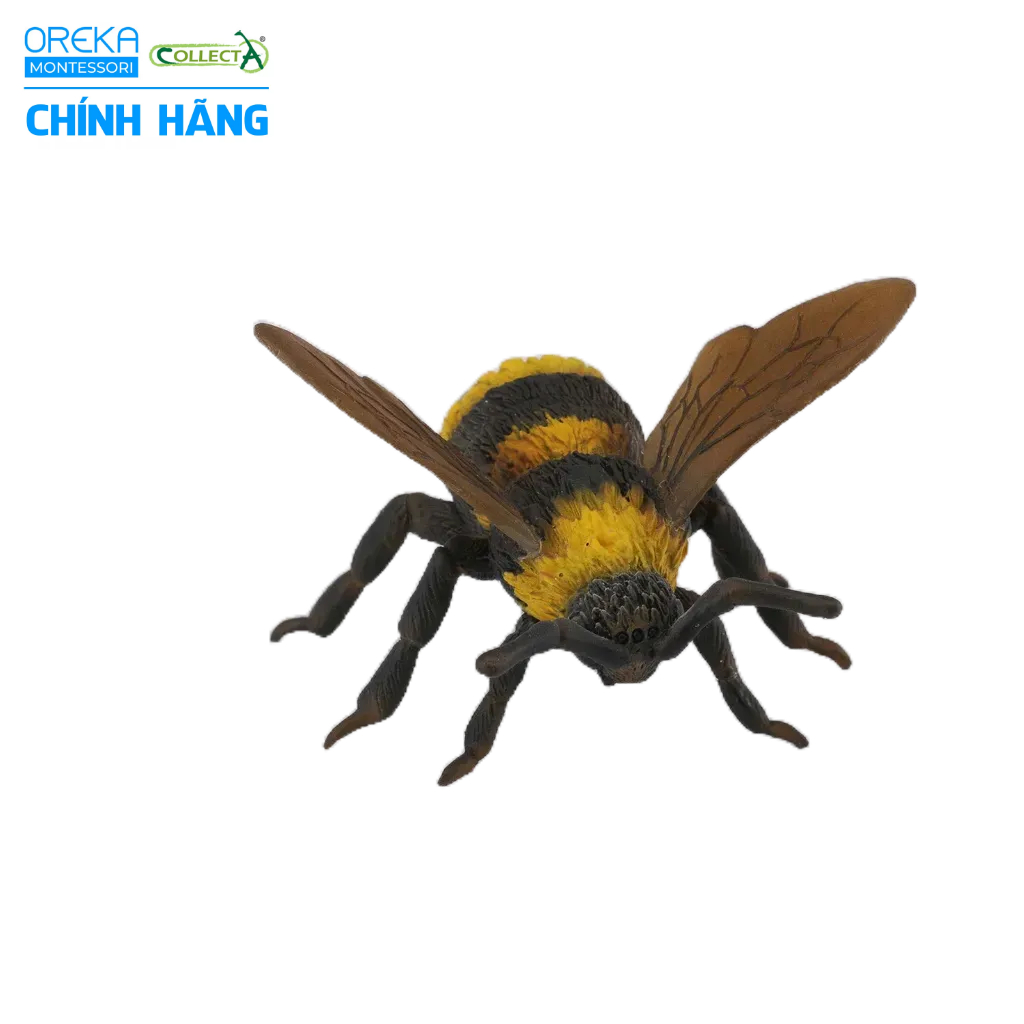 Mô hình động vật: Ong Nghệ
