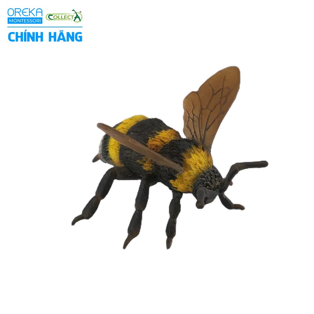Mô hình động vật: Ong Nghệ