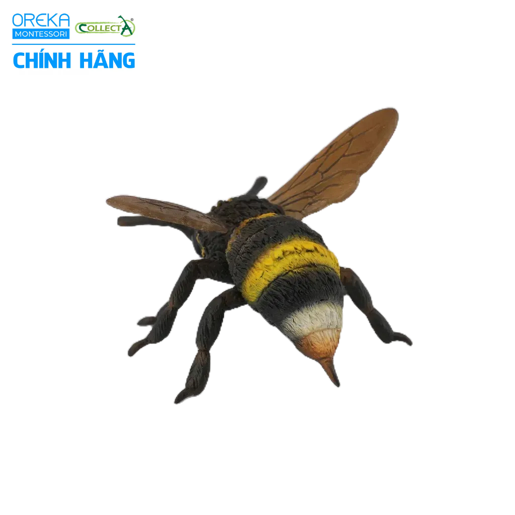 Mô hình động vật: Ong Nghệ