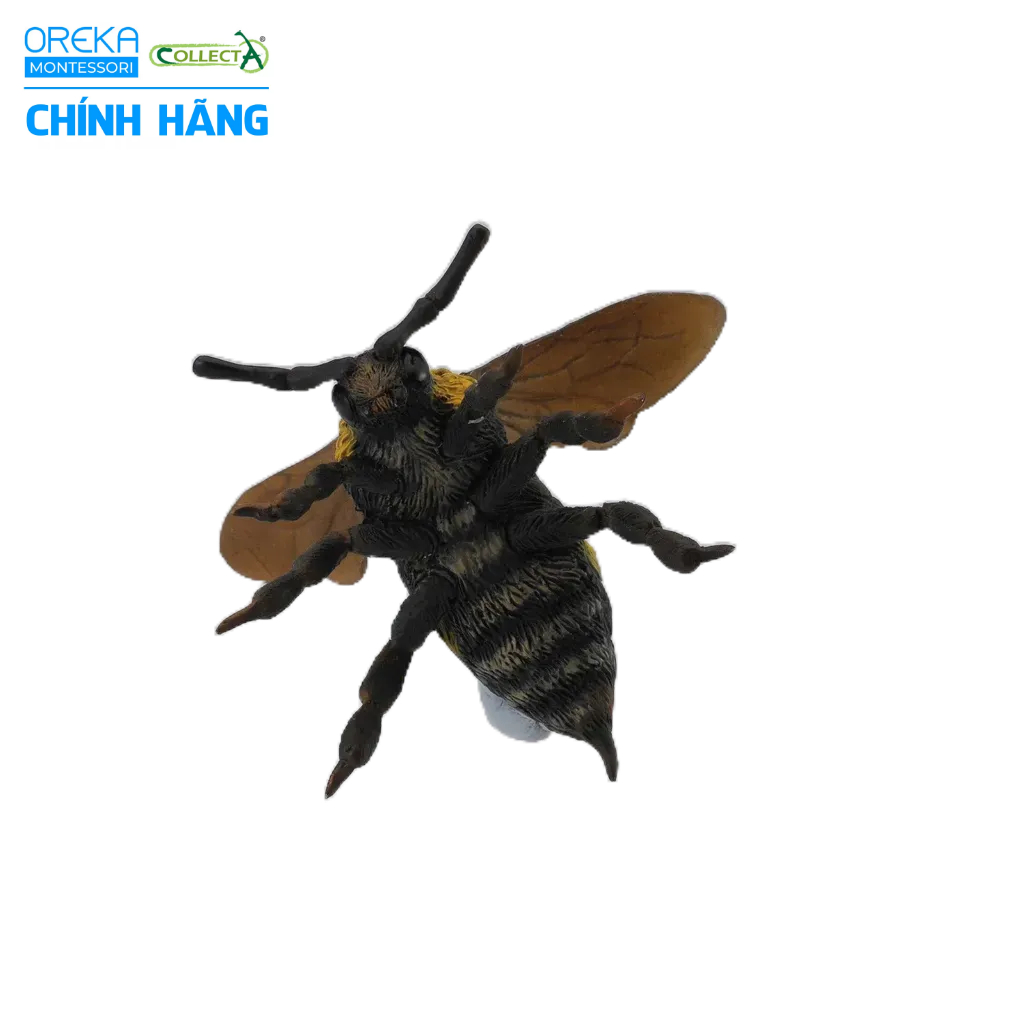 Mô hình động vật: Ong Nghệ
