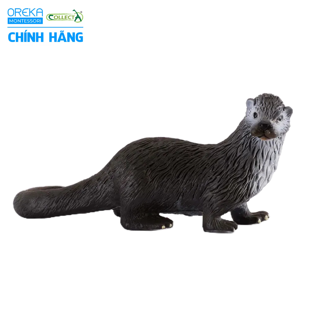 Mô hình động vật: Rái Cá