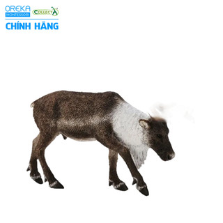 Mô hình động vật: Tuần Lộc