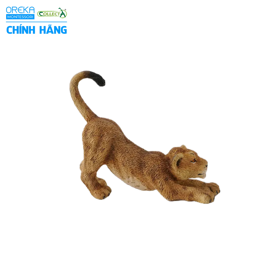 Mô hình động vật: Sư Tử con