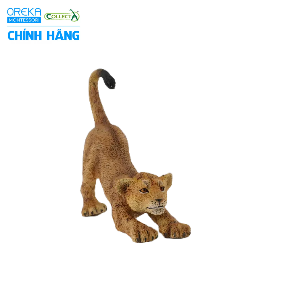Mô hình động vật: Sư Tử con