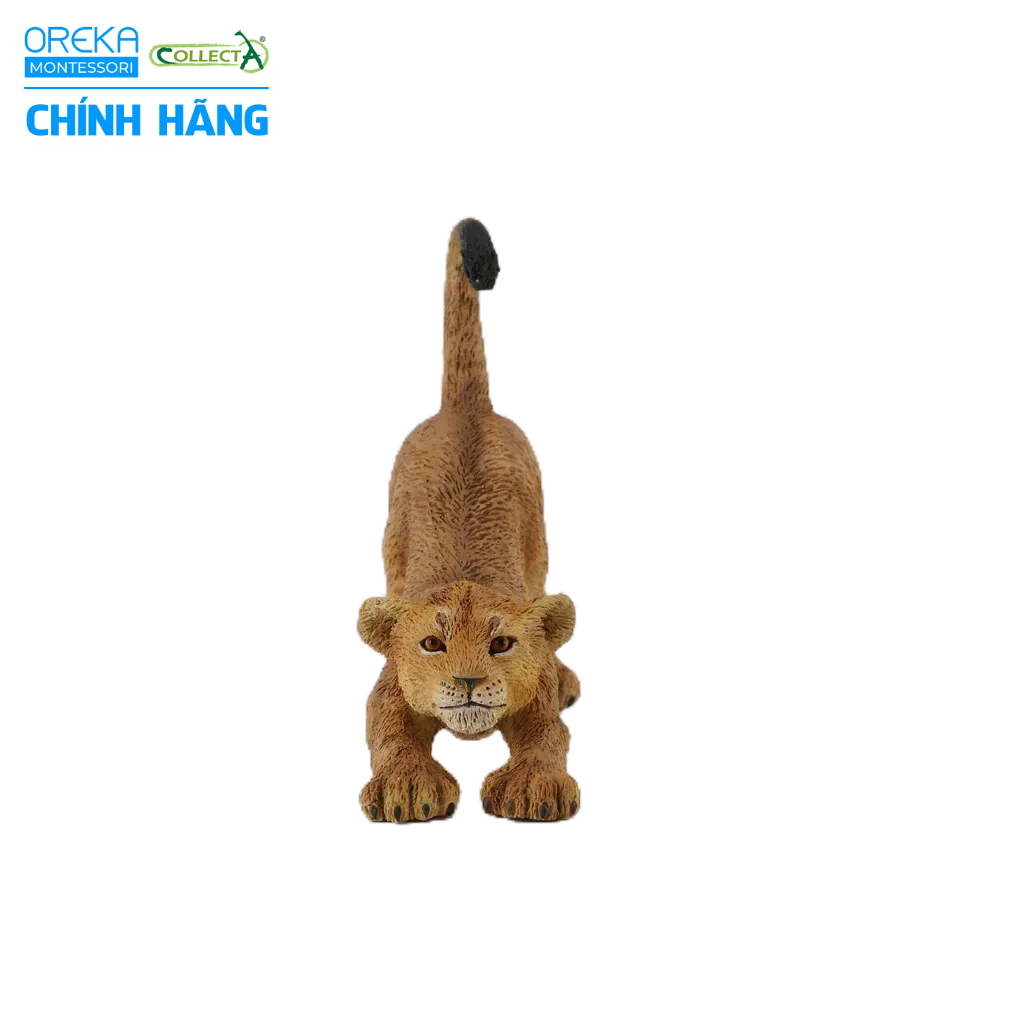 Mô hình động vật: Sư Tử con