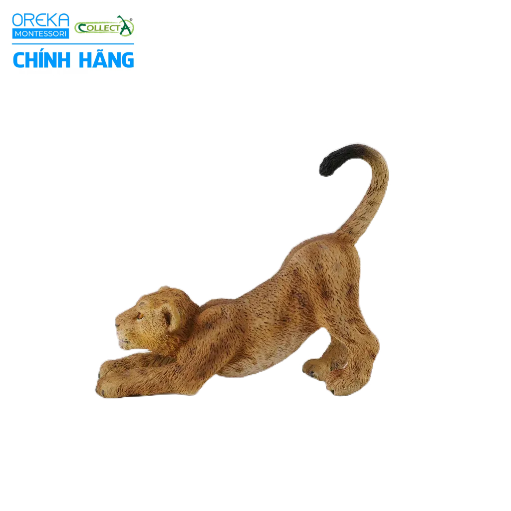 Mô hình động vật: Sư Tử con