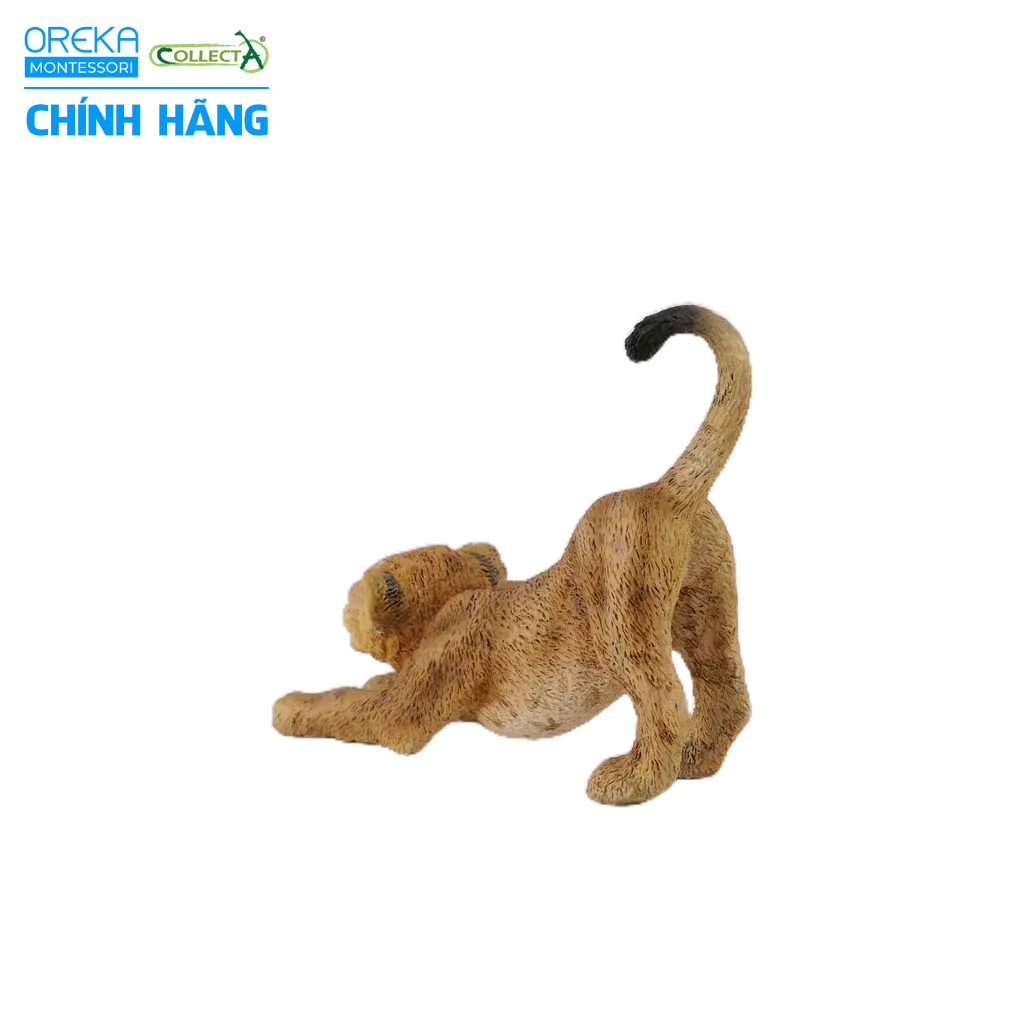 Mô hình động vật: Sư Tử con