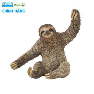 Mô hình động vật: Lười