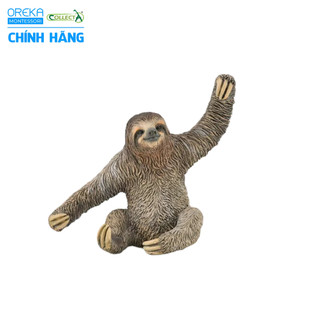 Mô hình động vật: Lười