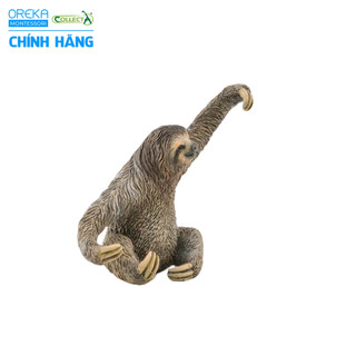 Mô hình động vật: Lười