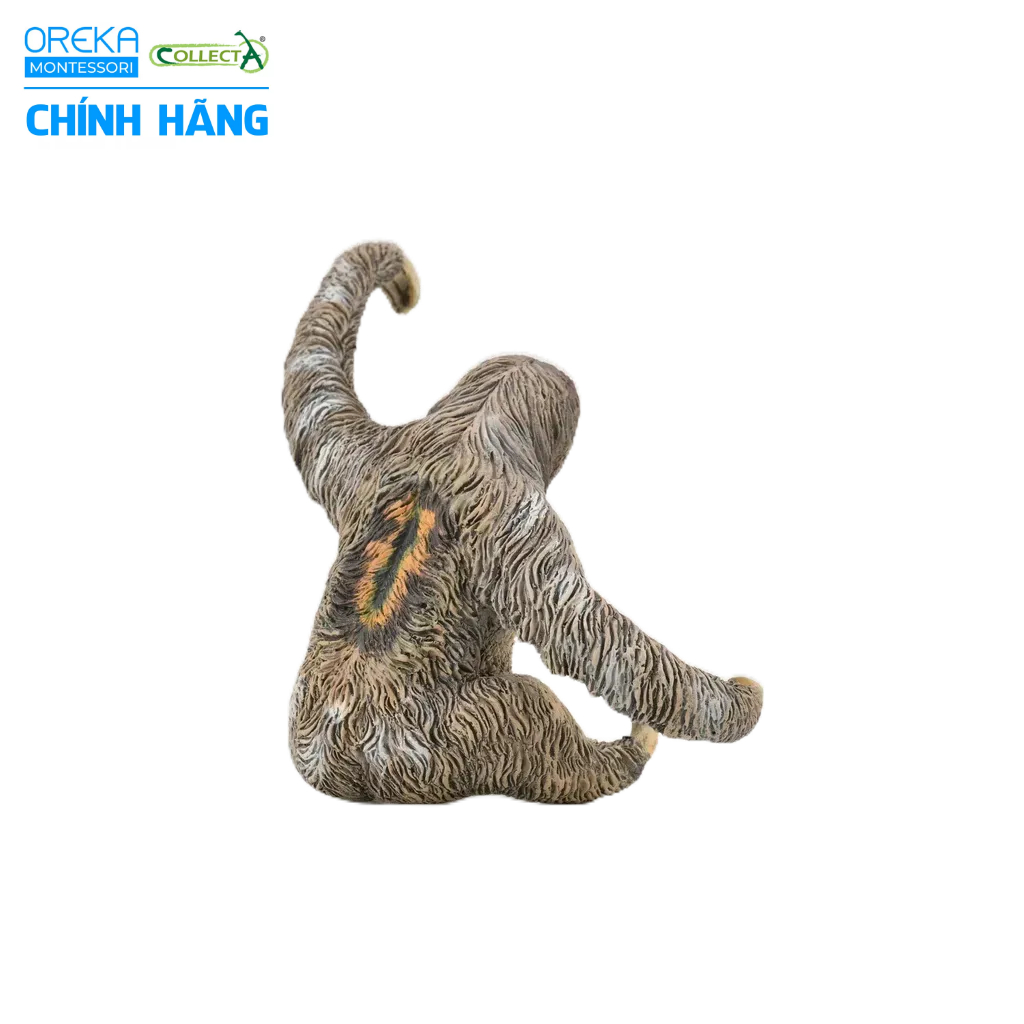 Mô hình động vật: Lười