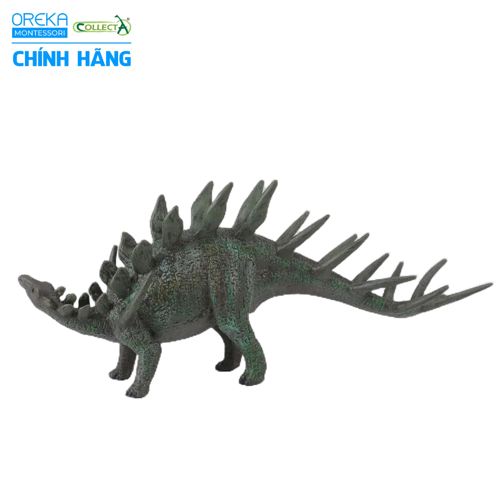 Mô hình động vật: Khủng Long Kentrosaurus