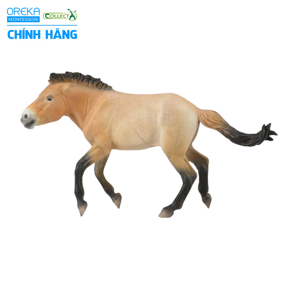 Mô hình động vật: Ngựa Hoang Mông Cổ