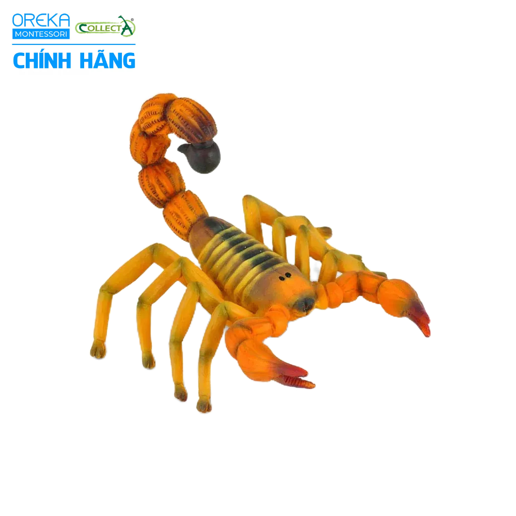 Mô hình động vật: Bọ Cạp Đuôi Béo Bắc Phi
