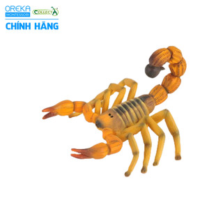 Mô hình động vật: Bọ Cạp Đuôi Béo Bắc Phi