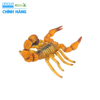 Mô hình động vật: Bọ Cạp Đuôi Béo Bắc Phi