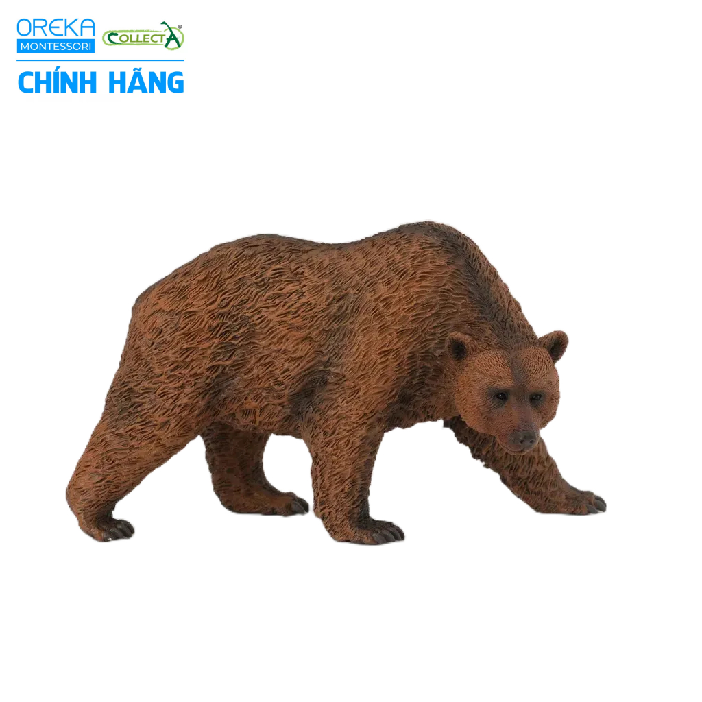 Mô hình động vật: Gấu Nâu