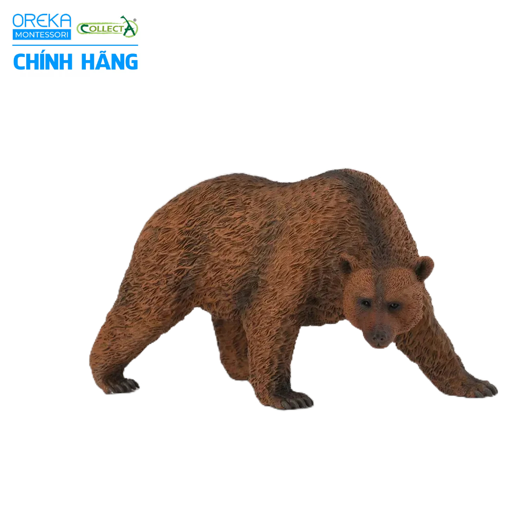 Mô hình động vật: Gấu Nâu