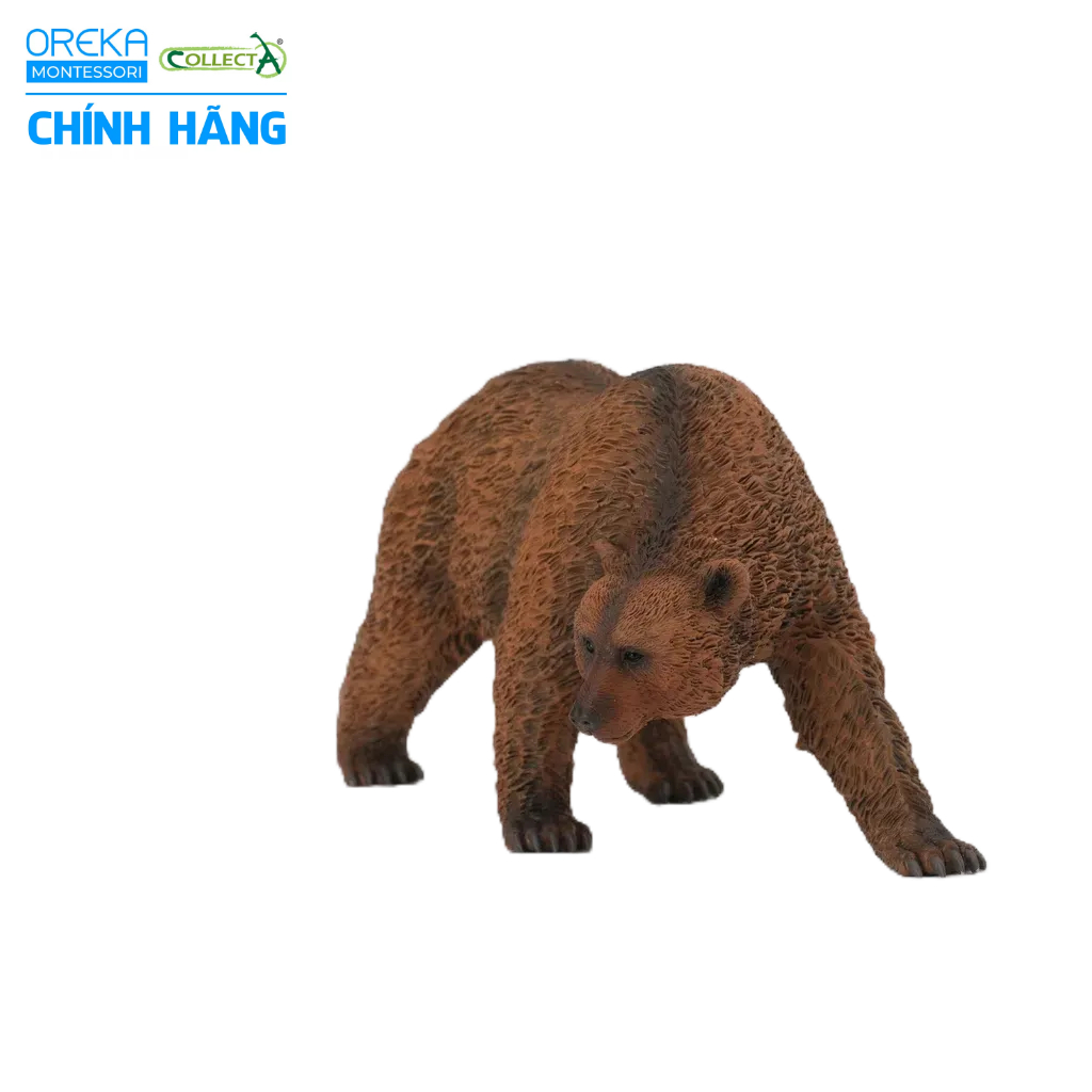 Mô hình động vật: Gấu Nâu