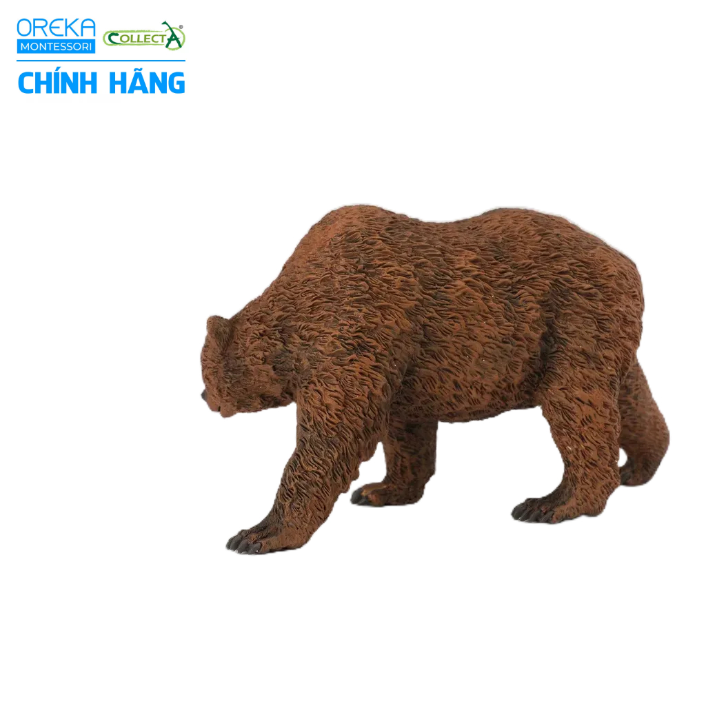 Mô hình động vật: Gấu Nâu