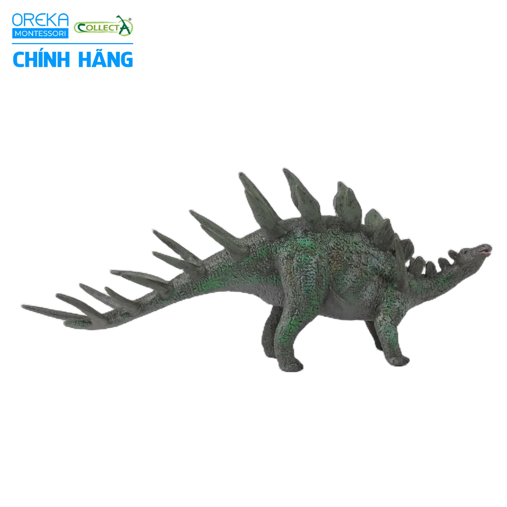 Mô hình động vật: Khủng Long Kentrosaurus