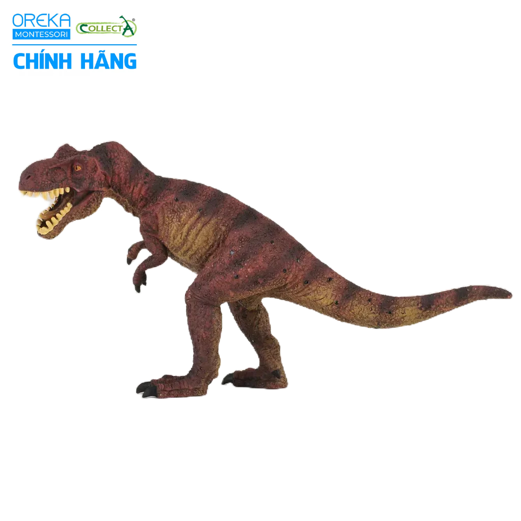 Mô hình động vật: Khủng Long Tyrannosaurus Rex