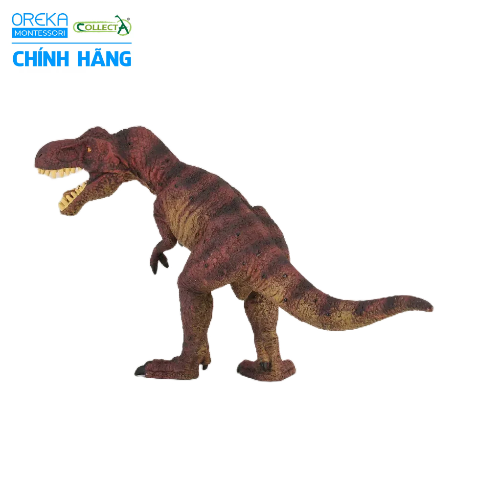 Mô hình động vật: Khủng Long Tyrannosaurus Rex