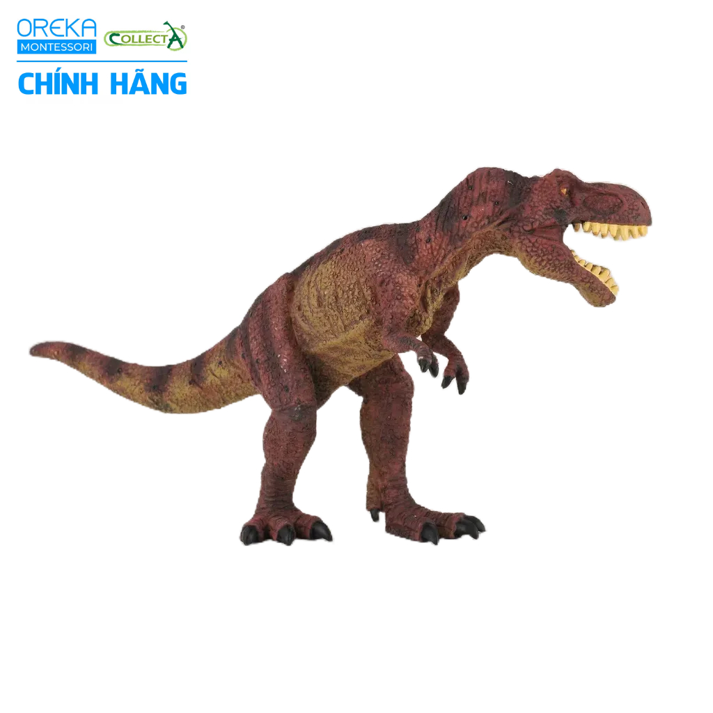 Mô hình động vật: Khủng Long Tyrannosaurus Rex
