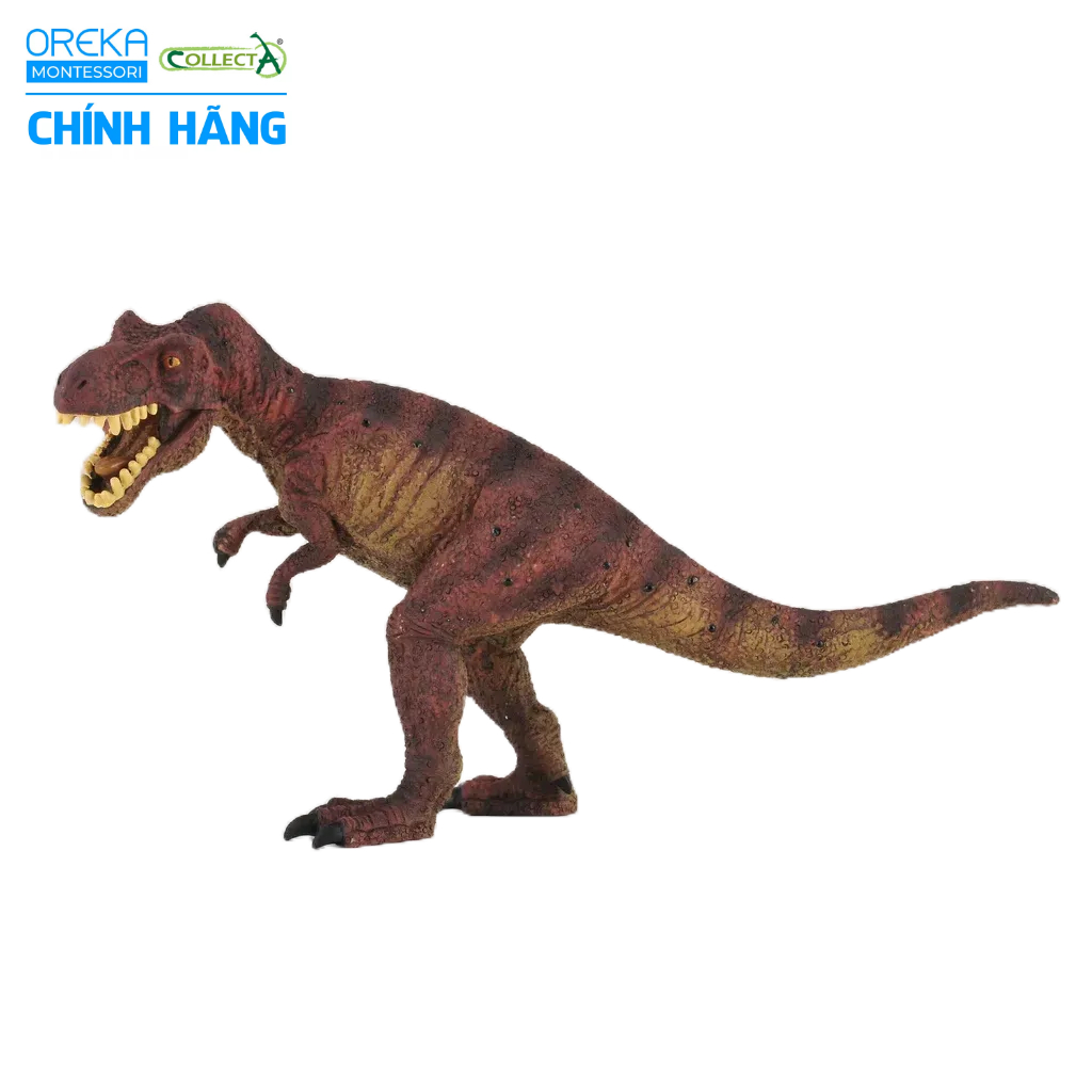 Mô hình động vật: Khủng Long Tyrannosaurus Rex