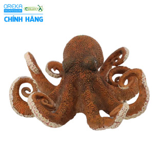 Mô hình động vật: Bạch Tuộc