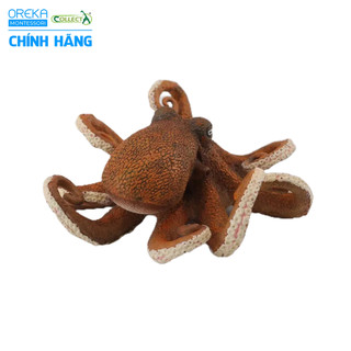 Mô hình động vật: Bạch Tuộc