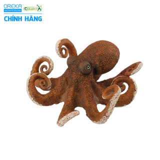 Mô hình động vật: Bạch Tuộc