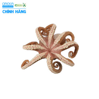 Mô hình động vật: Bạch Tuộc