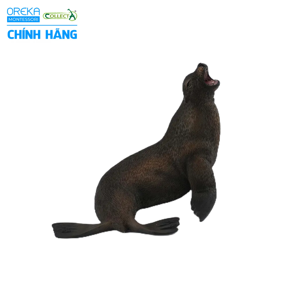 Mô hình động vật: Sư Tử Biển