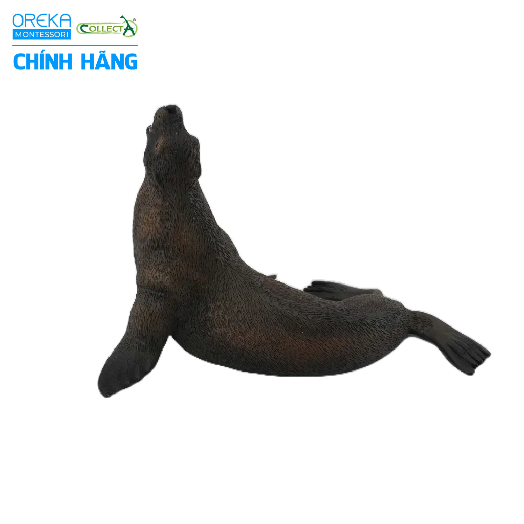 Mô hình động vật: Sư Tử Biển