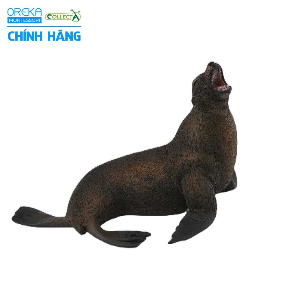 Mô hình động vật: Sư Tử Biển