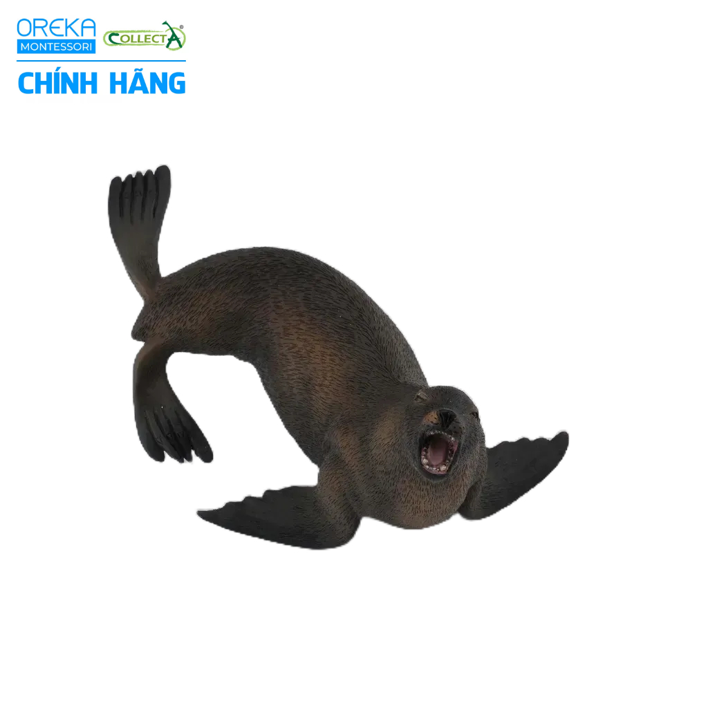 Mô hình động vật: Sư Tử Biển