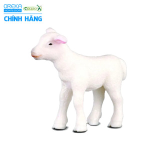 Mô hình động vật: Cừu con