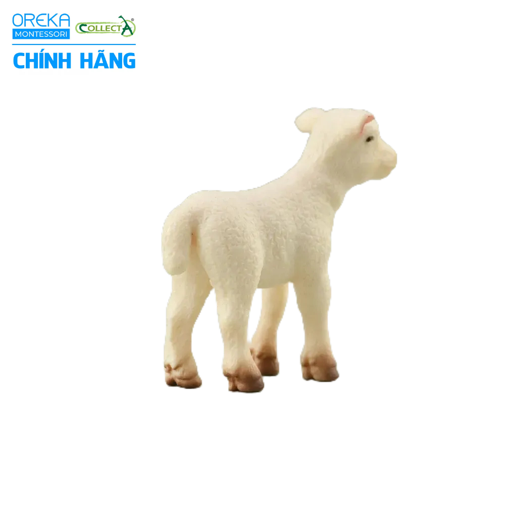 Mô hình động vật: Cừu con