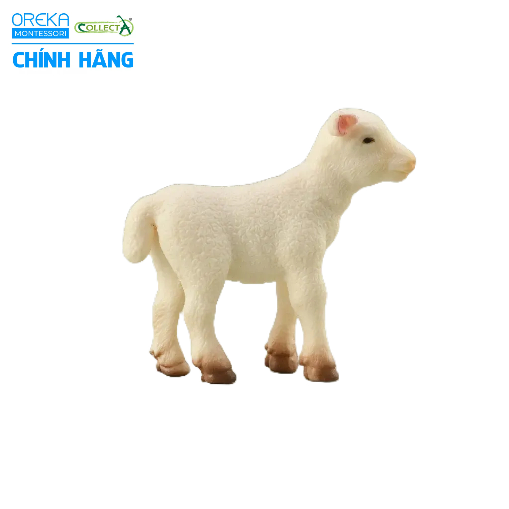 Mô hình động vật: Cừu con